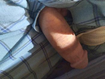 7819751457, female escort, Brockton